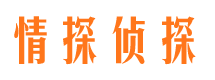 九江市侦探公司